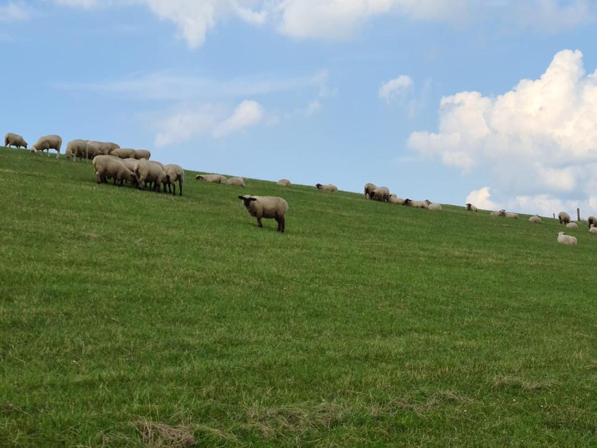 Ferienhaus Haus Seehund direkt hinterm Deich an der Nordsee Schweiburg Exterior foto
