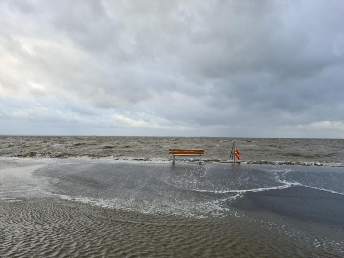 Ferienhaus Haus Seehund direkt hinterm Deich an der Nordsee Schweiburg Exterior foto